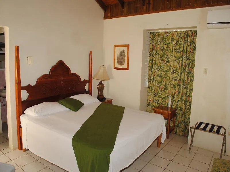Oasis Resort Negril 2*,