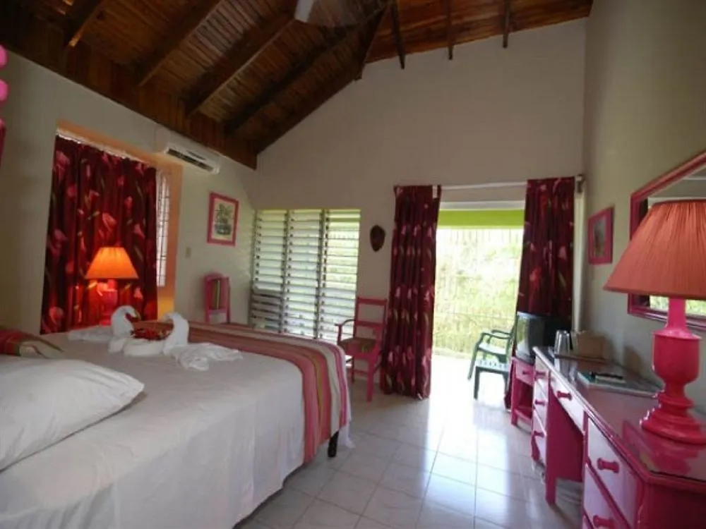 Oasis Resort Negril 2*,