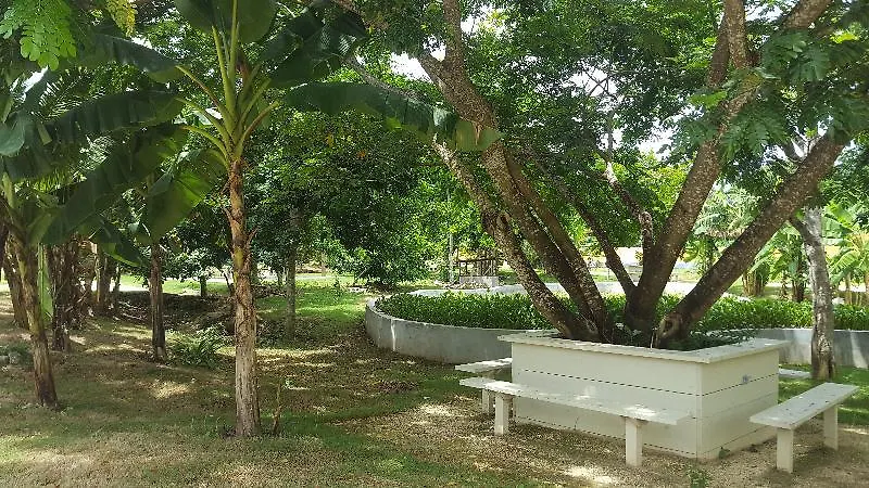Oasis Resort Negril