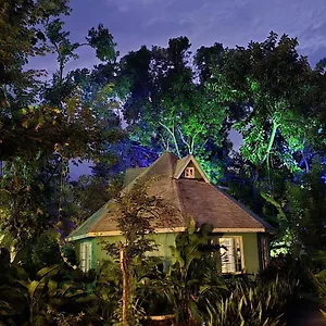 https://bak-a-yaad.hotelsnegriljamaica.com